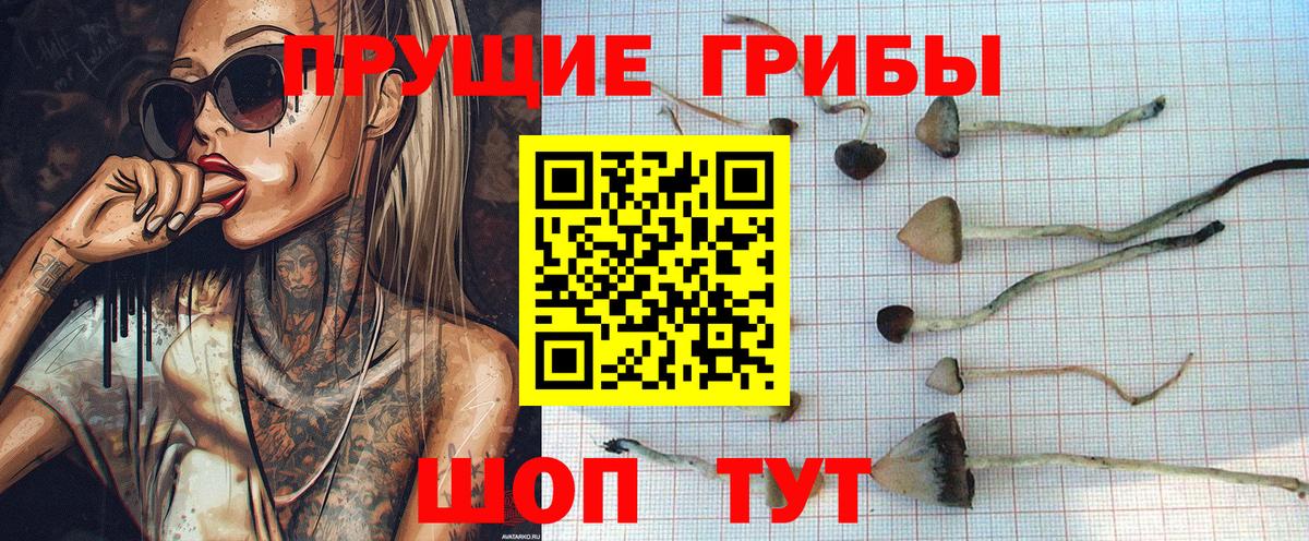 Псилоцибиновые грибы ЛСД Арзамас